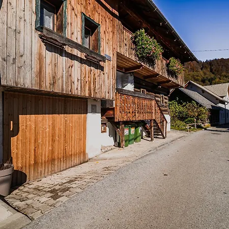 Traditional Slovenian House Pr'belej Σπίτι διακοπών